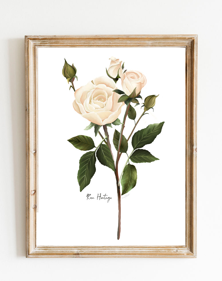 White Roses Vintage outlet Flower Painting