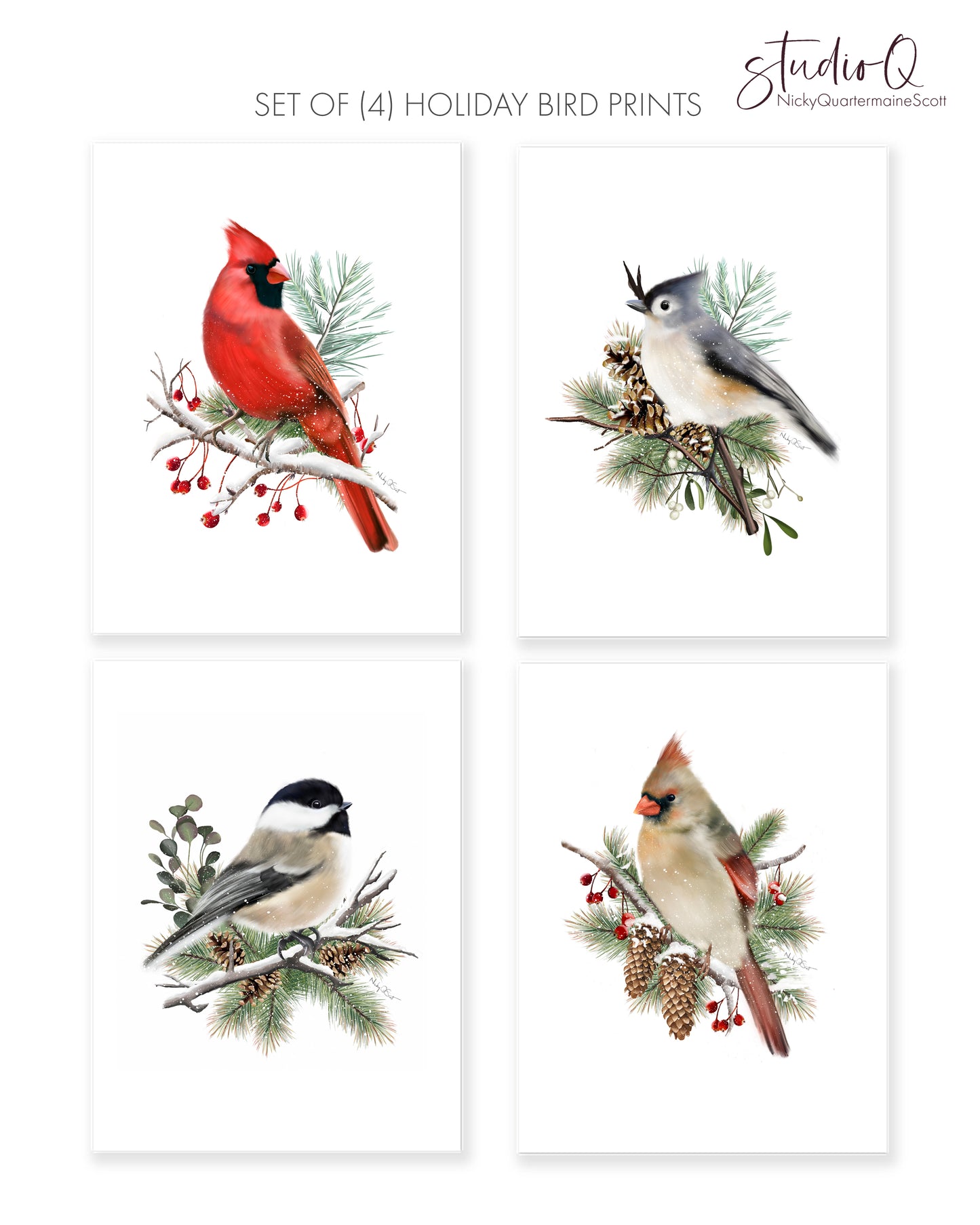 Christmas Bird Art Prints - Set of 4 - Studio Q - Art by Nicky Quartermaine Scott