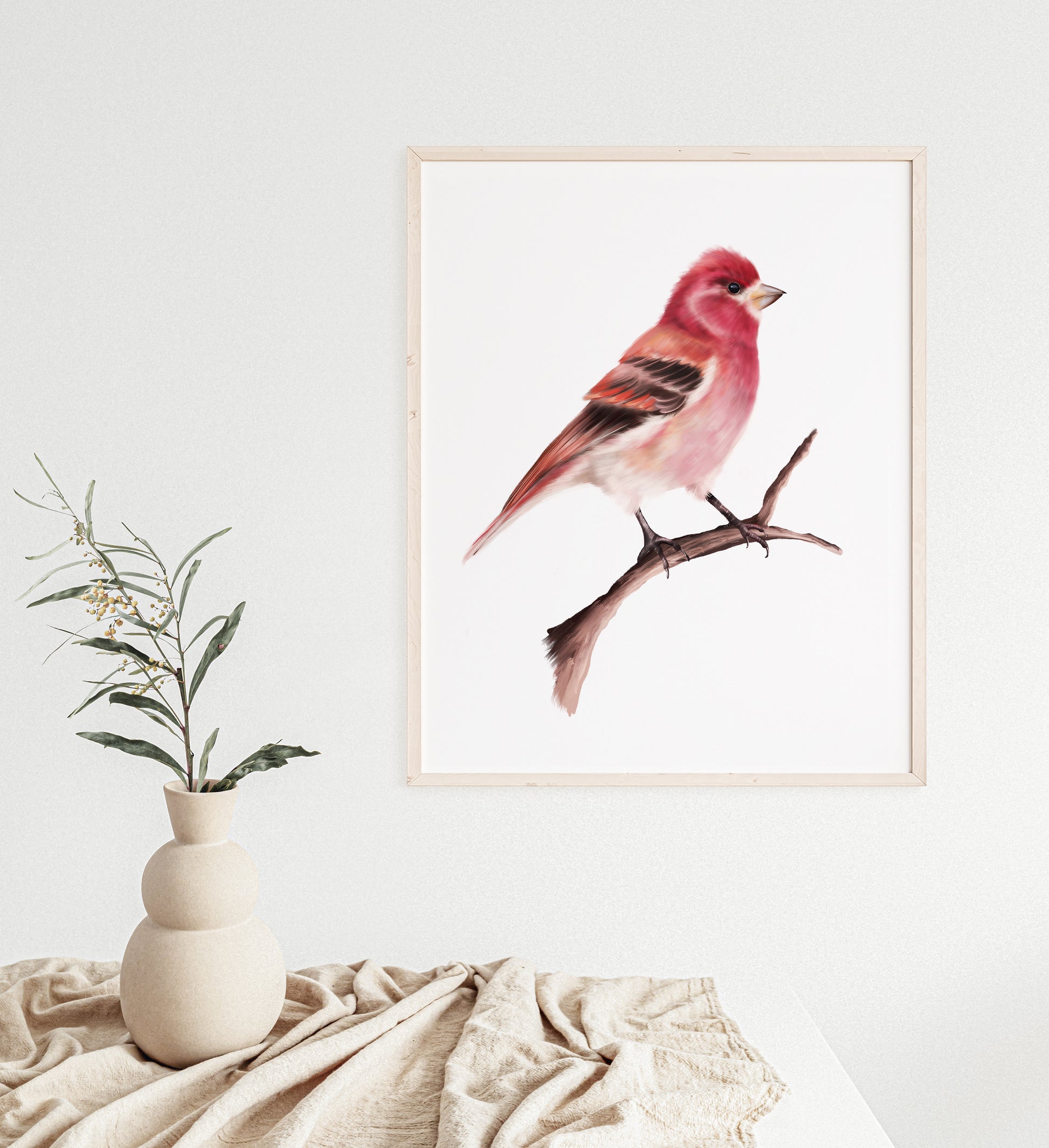 Purple Finch Art Print - Studio Q - Art by Nicky Quartermaine Scott