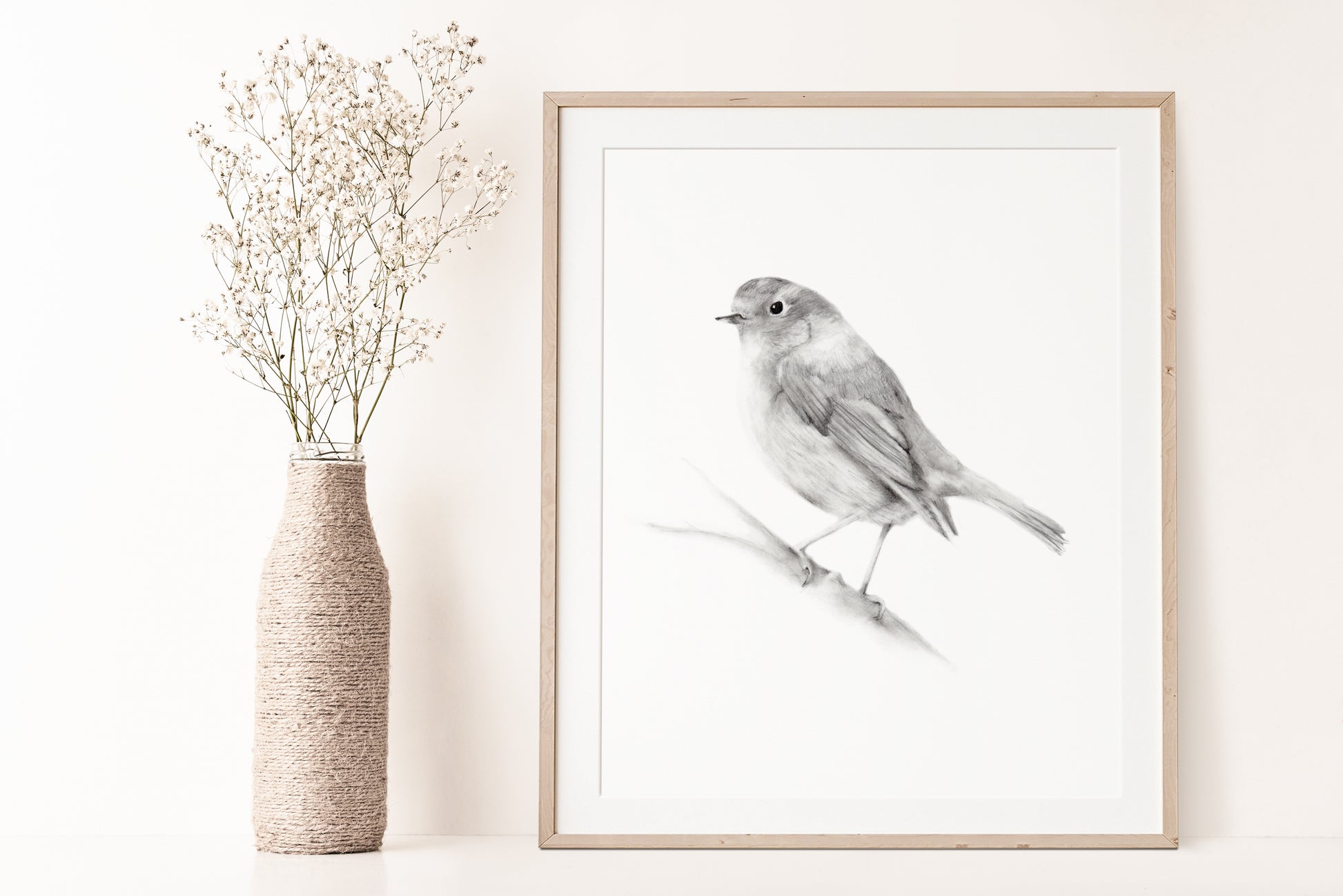 Bird (Robin) Pencil Drawing Print - Studio Q - Art by Nicky Quartermaine Scott