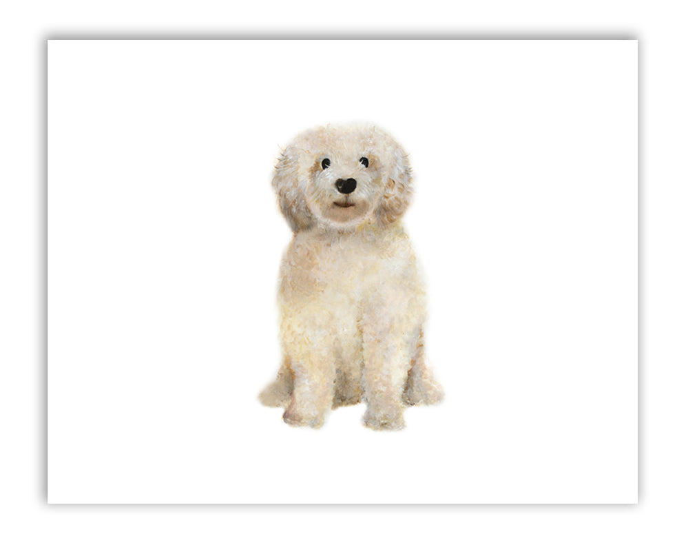 Goldendoodle Art Print - Studio Q - Art by Nicky Quartermaine Scott