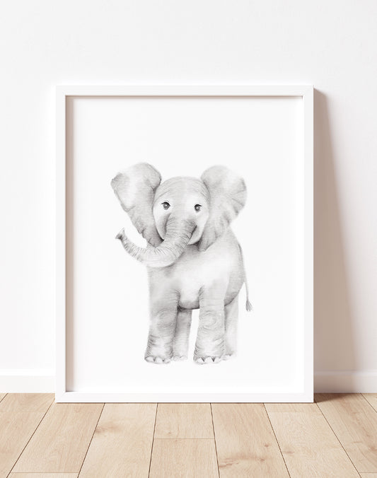 Elephant Pencil Drawing Print - Studio Q - Art by Nicky Quartermaine Scott