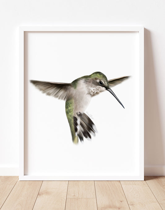 Female hummingbird painting on a white background - Studio Q - Art by NIcky Quartermaine Scott