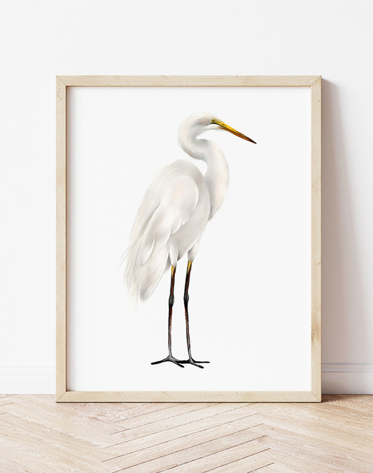 Great Egret Bird Art Print - Studio Q - Art by Nicky Quartermaine Scott