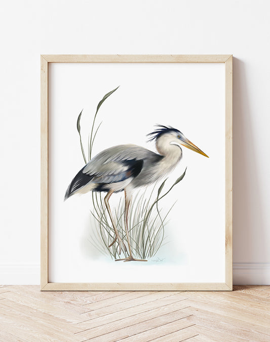 Great Blue Heron in Grasses Bird Art Print 2 - Studio Q - Art by Nicky Quartermaine Scott