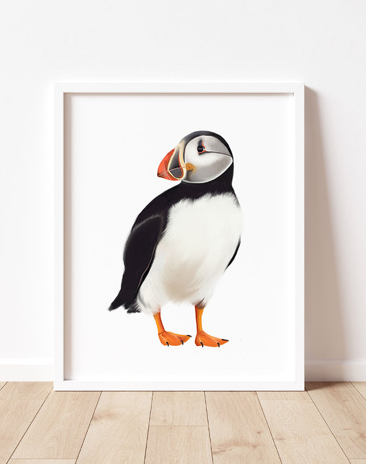 Puffin Bird Art Print- Studio Q - Art by Nicky Quartermaine Scott