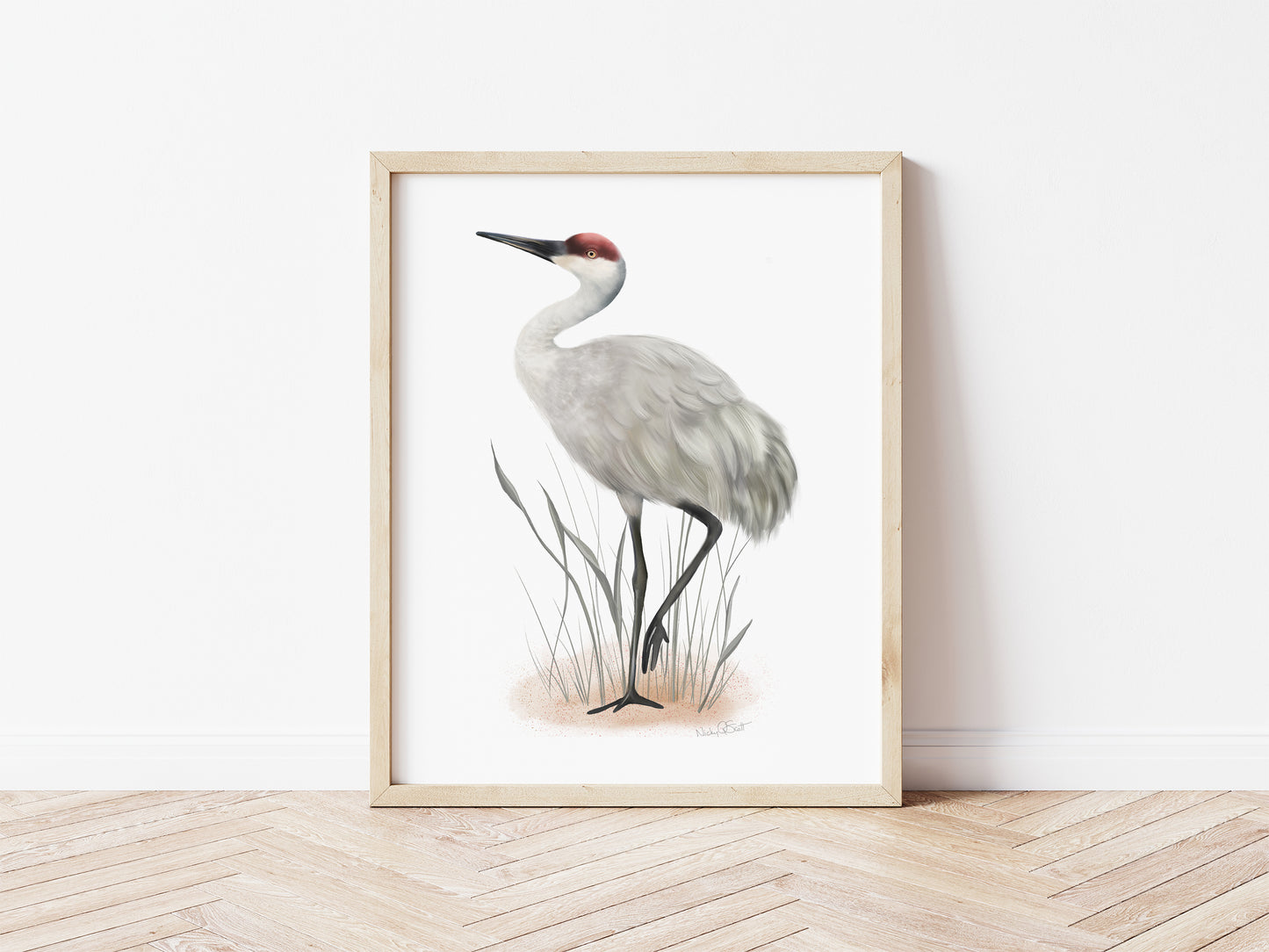 Sandhill Crane Bird Art Print - Studio Q - Art by Nicky Quartermaine Scott