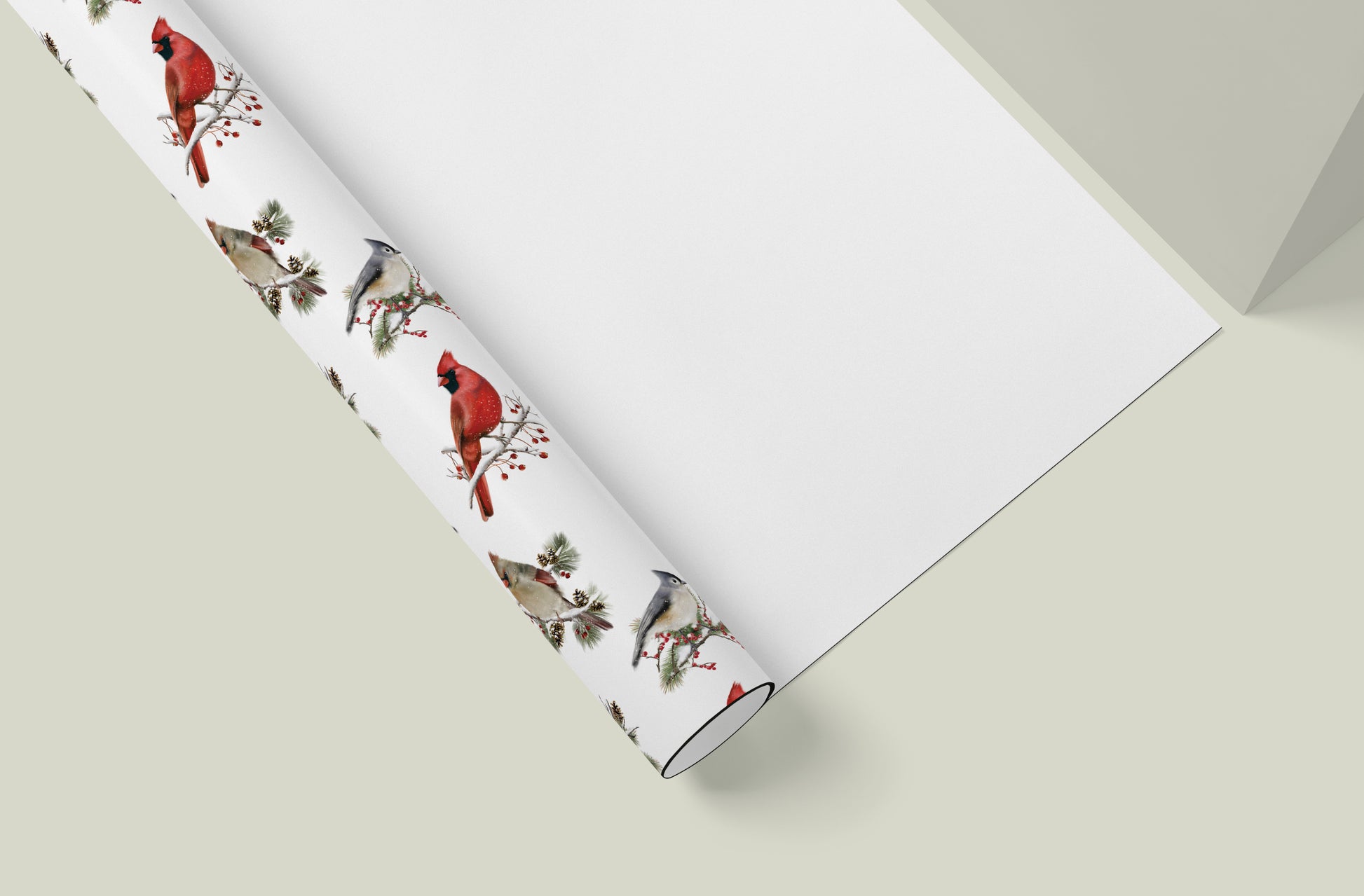 Winter Bird Garden Wrapping Paper- Studio Q - Art by Nicky Quartermaine Scott