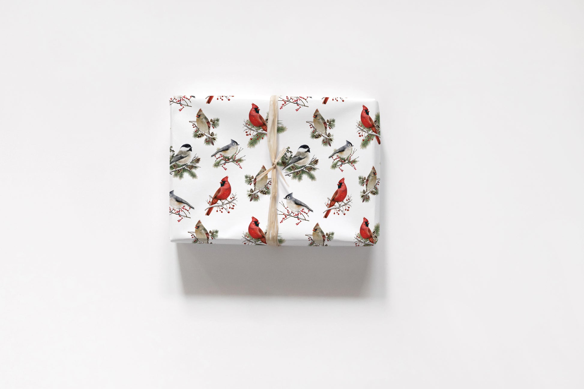 Winter Bird Garden Wrapping Paper- Studio Q - Art by Nicky Quartermaine Scott